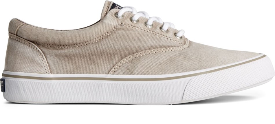 Sperry Striper Ii Ombre Cvo Sneaker Zement